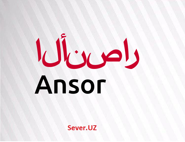 Ansor
