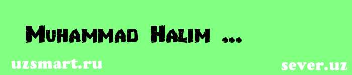 Muhammad Halim ...