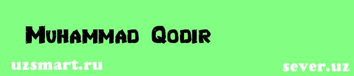 Muhammad Qodir