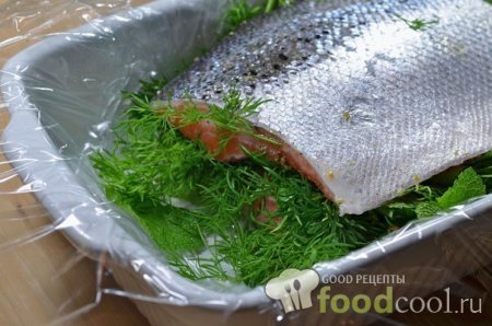 Домашний гравлакс (засоленный лосось) с соусом из укропа и горчицы