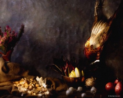 Кролик тушёный в сметане