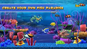 Fish Paradise Fish Paradise