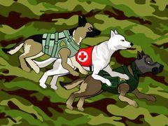 Немецкая овчарка Собаки героев войны - современная военная война собака миссии Немецкая овчарка Собаки героев войны - современная военная война собака миссии