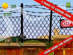 Немецкая овчарка Собаки героев войны - современная военная война собака миссии Немецкая овчарка Собаки героев войны - современная военная война собака миссии