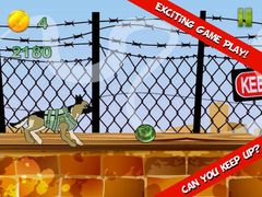 Немецкая овчарка Собаки героев войны - современная военная война собака миссии Немецкая овчарка Собаки героев войны - современная военная война собака миссии