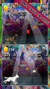 Немецкая овчарка - Extreme элитных безопасности системы