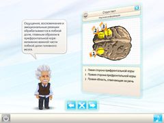 Einstein™ Тренировка для ума HD Free