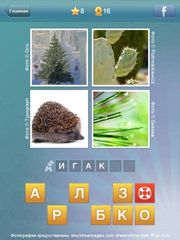 Что за слово? - 4 фотки 1 слово