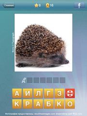 Что за слово? - 4 фотки 1 слово