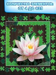 Пазлы-картинки Jigty