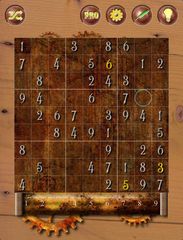 Числа в Судоку