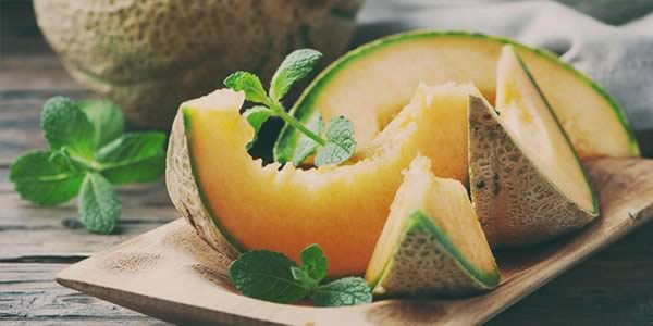 Qovun yetishtirish bo‘yicha tavsiyalar